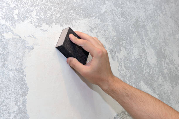 Best Airborne Mold Testing  in Altoona, IA