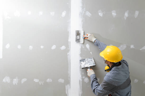Best Mold Prevention Services  in Altoona, IA