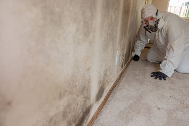 Best Indoor Air Quality Assessment  in Altoona, IA