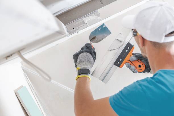 Best Asbestos and Lead Testing During Mold Inspection  in Altoona, IA